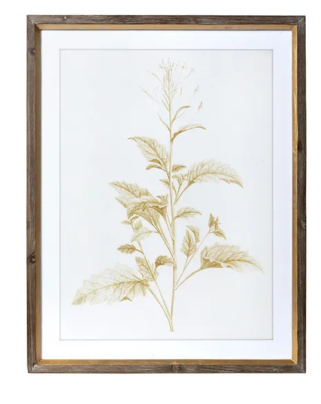 Sepia Botanical Framed Print