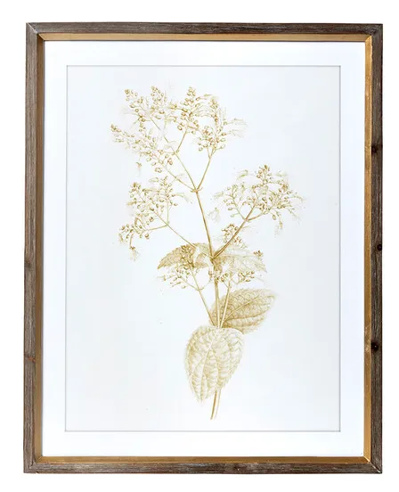 Sepia Botanical Framed Print