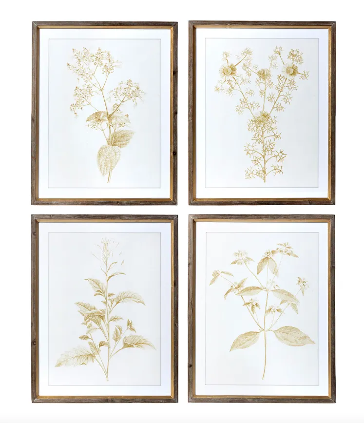 Sepia Botanical Framed Print